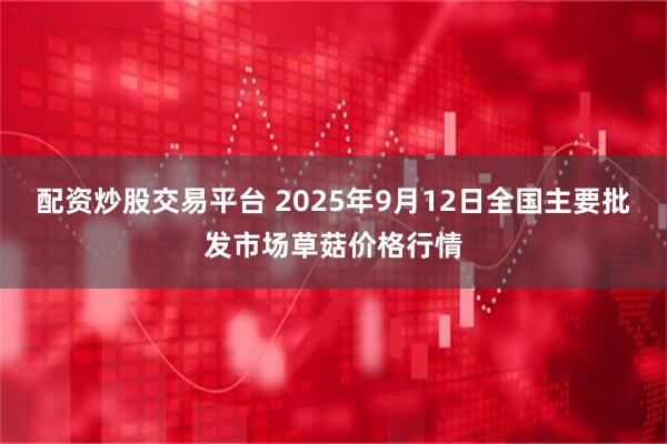 配资炒股交易平台 2025年9月12日全国主要批发市场草菇价格行情