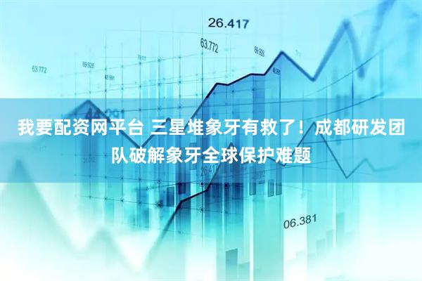 我要配资网平台 三星堆象牙有救了！成都研发团队破解象牙全球保护难题