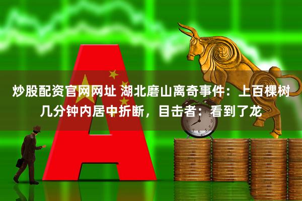 炒股配资官网网址 湖北磨山离奇事件：上百棵树几分钟内居中折断，目击者：看到了龙