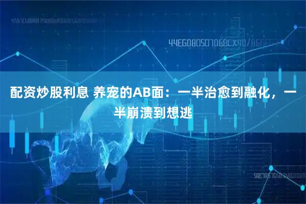 配资炒股利息 养宠的AB面：一半治愈到融化，一半崩溃到想逃